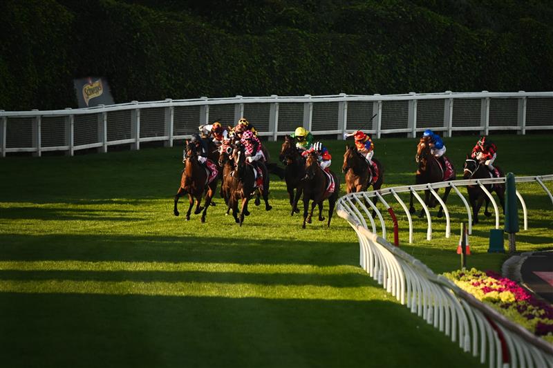 MELBOURNE, AUSTRALIA - OCTOBER 22: Craig Williams riding Bella Nipotina turns into the straight before winning race 11, the Ladbrokes Manikato Stakes during Cox Plate Day at Moonee Valley Racecourse on October 22, 2022 in Melbourne, Australia. (Photo by Vince Caligiuri/Getty Images)