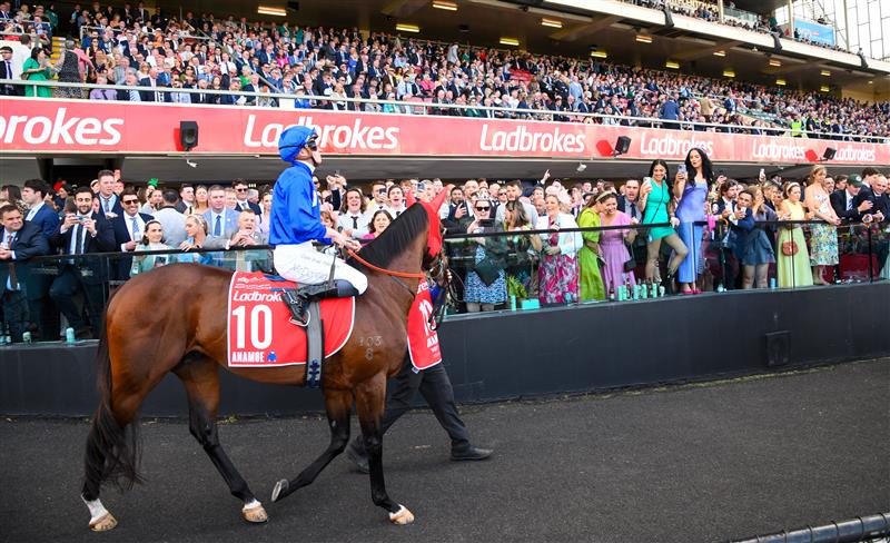 MELBOURNE, AUSTRALIA - OCTOBER 22: James McDonald riding Anamoe parades before winning Race 9, the Ladbrokes Cox Plate,  during Cox Plate Day at Moonee Valley Racecourse on October 22, 2022 in Melbourne, Australia. (Photo by Vince Caligiuri/Getty Images)