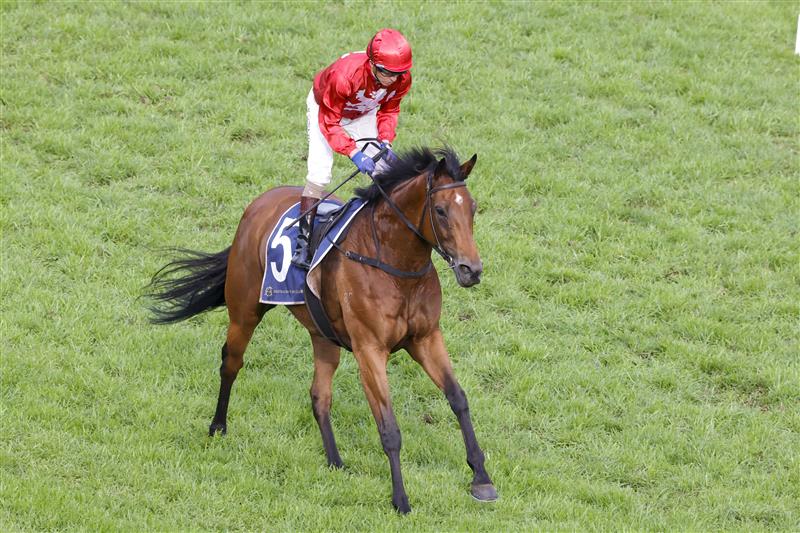 SYDNEY, AUSTRALIA - OCTOBER 22: Kerrin McEvoy on Promise Of Success returns to scale after winning race 9 The Invitation during Spring Champions Stakes Day at Royal Randwick Racecourse on October 22, 2022 in Sydney, Australia. (Photo by Jenny Evans/Getty Images)