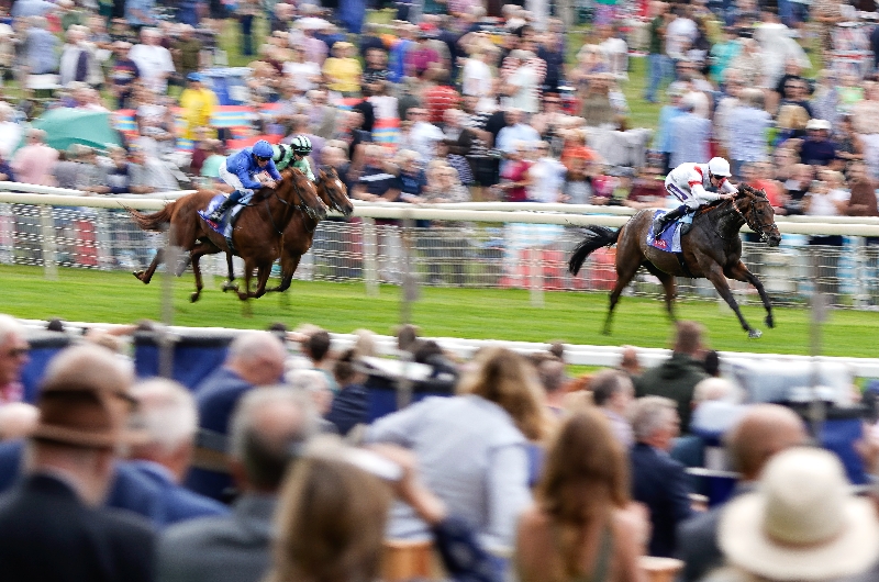 Melbourne Cup Betting Odds Two runners in single figures for the 2022