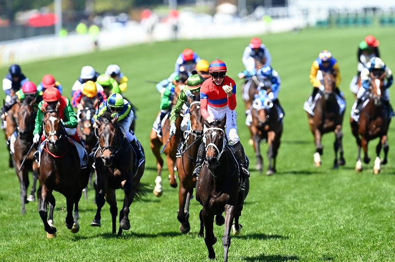 Melbourne Cup Live Stream How to watch the 2022 Melbourne Cup Melbourne Cup Live Stream How to watch the 2022 Melbourne Cup