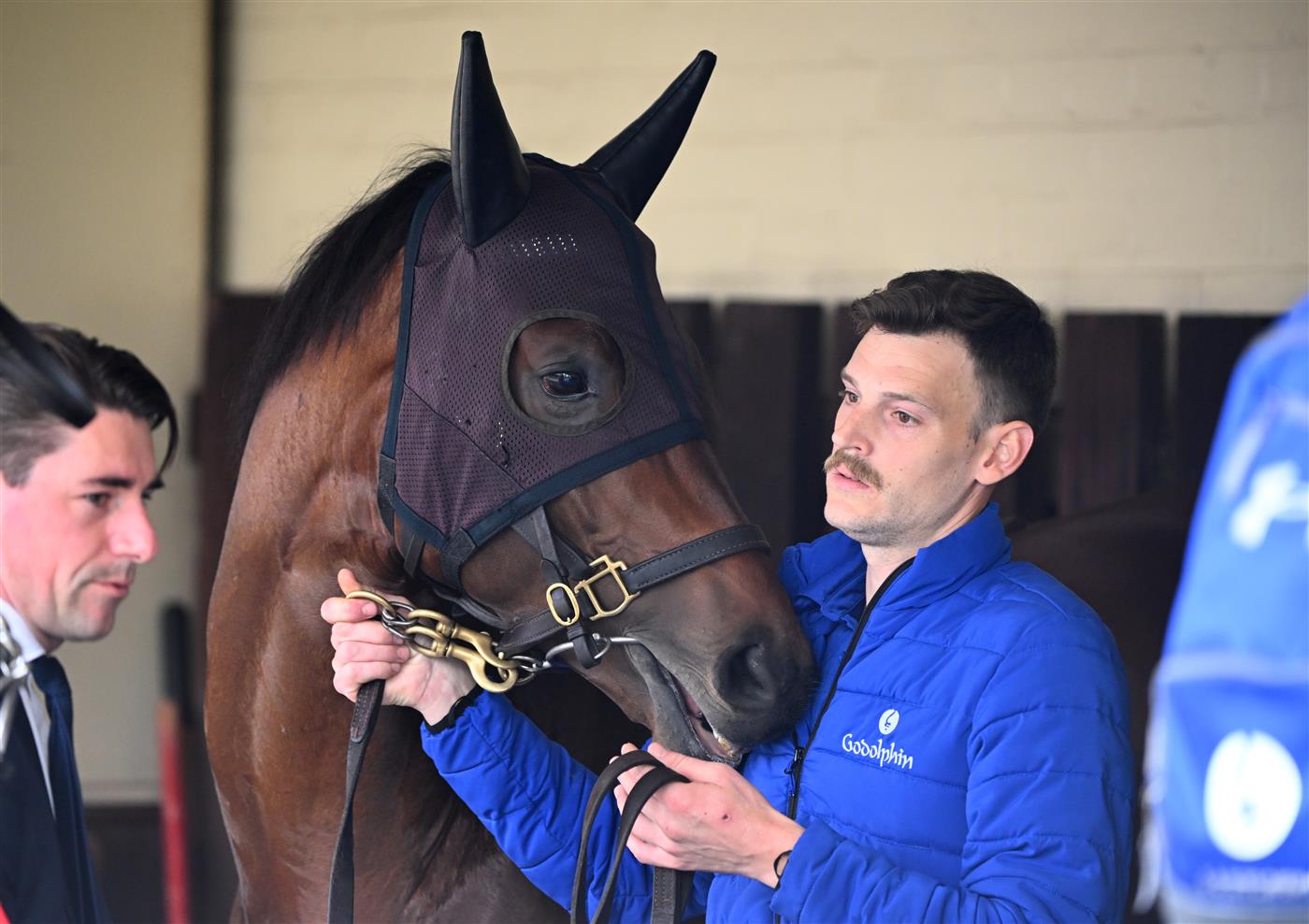 MELBOURNE, AUSTRALIA - OCTOBER 22: Cox Plate runner Anamoe is seen during Cox Plate Day at Moonee Valley Racecourse on October 22, 2022 in Melbourne, Australia. (Photo by Vince Caligiuri/Getty Images)