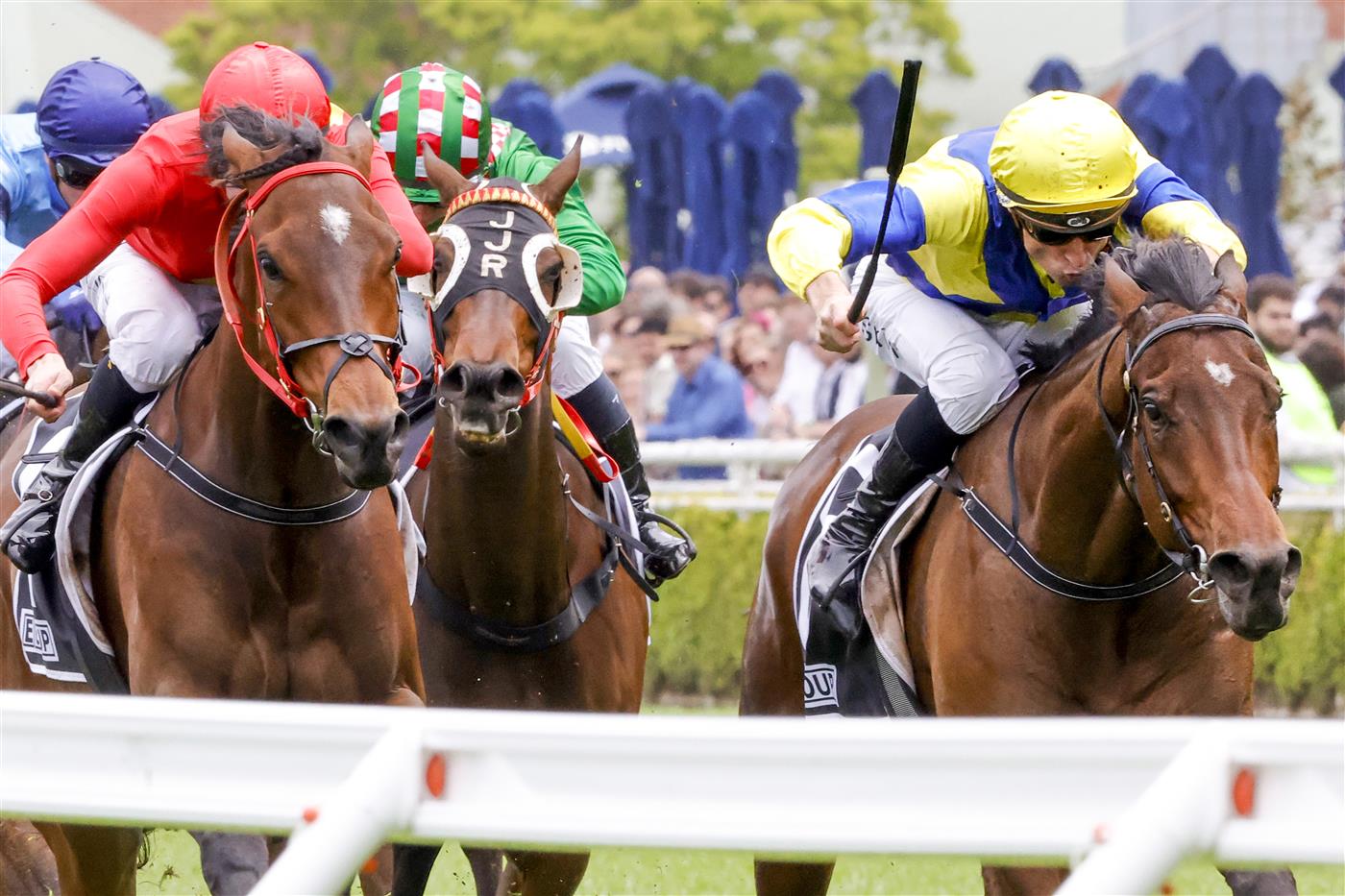 SYDNEY, AUSTRALIA - OCTOBER 22: Blake Shinn (Yellow)on Mahogony wins race 4 the Egroup Protective Services Handicap during Spring Champions Stakes Day at Royal Randwick Racecourse on October 22, 2022 in Sydney, Australia. (Photo by Jenny Evans/Getty Images)