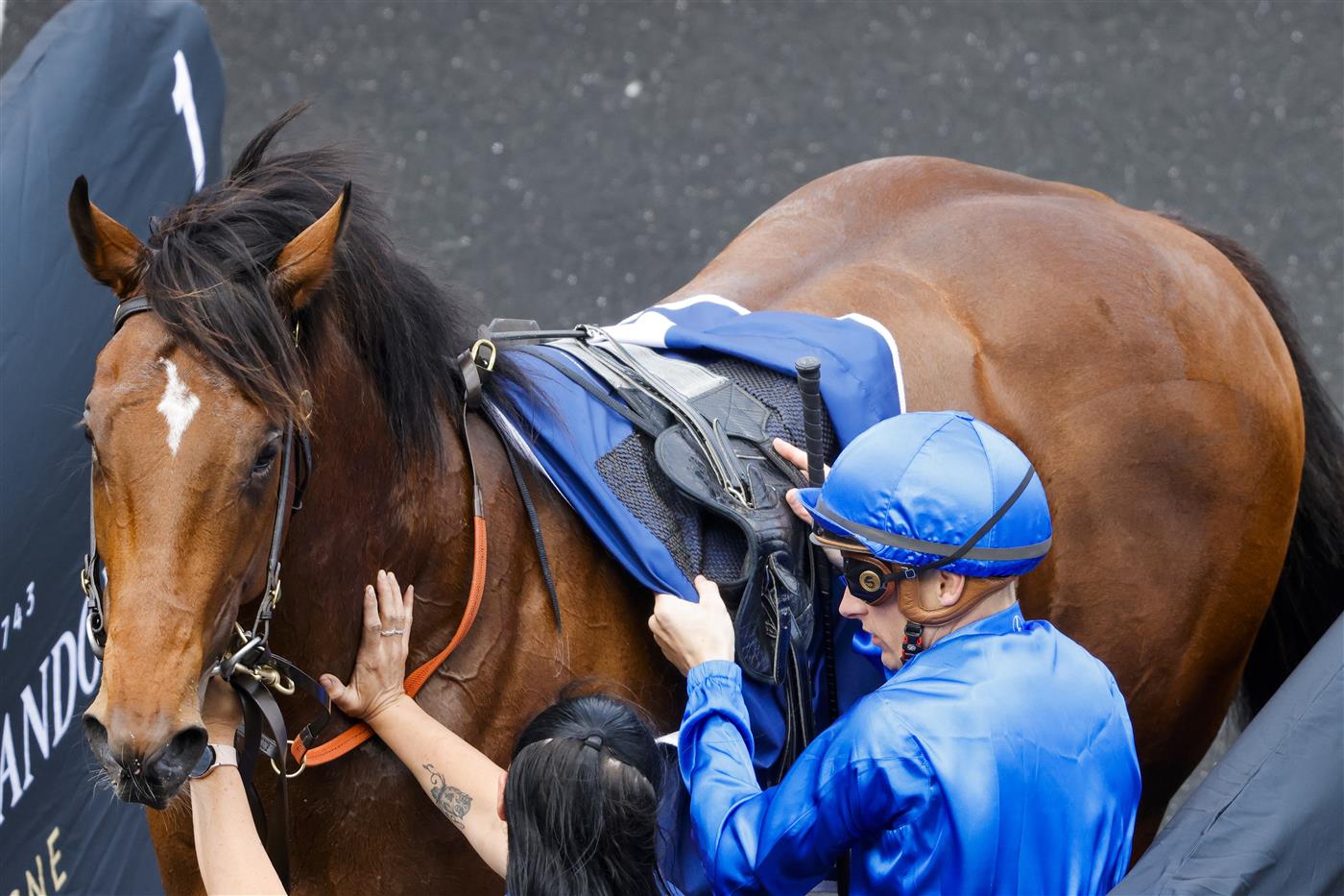 SYDNEY, AUSTRALIA - OCTOBER 22: Blake Shinn on Barber returns to scale after winning race 1 the Drinkwise Kirkham Plate during Spring Champions Stakes Day at Royal Randwick Racecourse on October 22, 2022 in Sydney, Australia. (Photo by Jenny Evans/Getty Images)