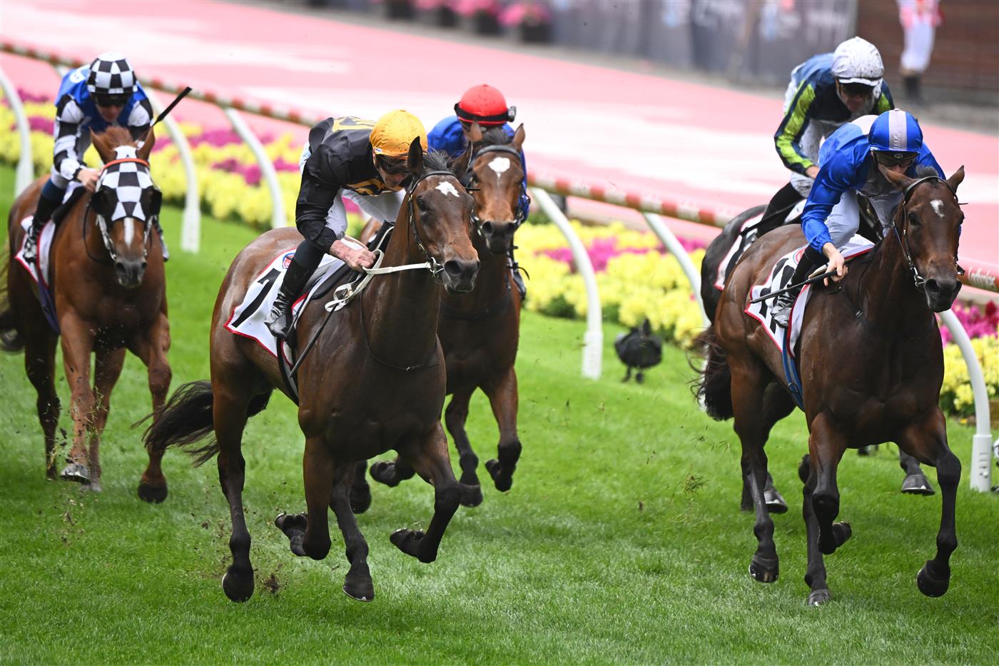 MELBOURNE, AUSTRALIA - OCTOBER 22: James McDonald riding Wee Nessy winning Race 4, the Pfd Food Services Crockett Stakes, during Cox Plate Day at Moonee Valley Racecourse on October 22, 2022 in Melbourne, Australia. (Photo by Vince Caligiuri/Getty Images)