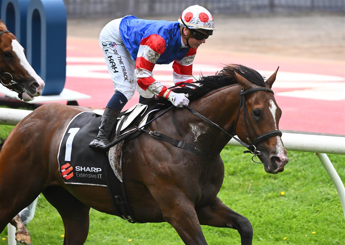 MELBOURNE, AUSTRALIA - OCTOBER 22: Jamie Kah riding Sejardan winning Race 3, the Sharp Extensive It Red Anchor Stakes, during Cox Plate Day at Moonee Valley Racecourse on October 22, 2022 in Melbourne, Australia. (Photo by Vince Caligiuri/Getty Images)
