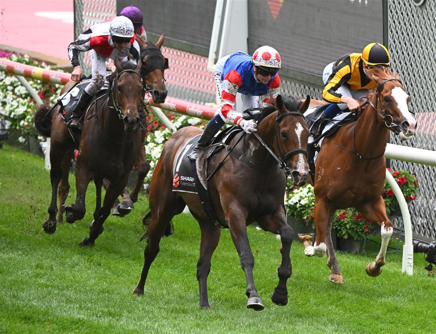MELBOURNE, AUSTRALIA - OCTOBER 22: Jamie Kah riding Sejardan winning Race 3, the Sharp Extensive It Red Anchor Stakes, during Cox Plate Day at Moonee Valley Racecourse on October 22, 2022 in Melbourne, Australia. (Photo by Vince Caligiuri/Getty Images)