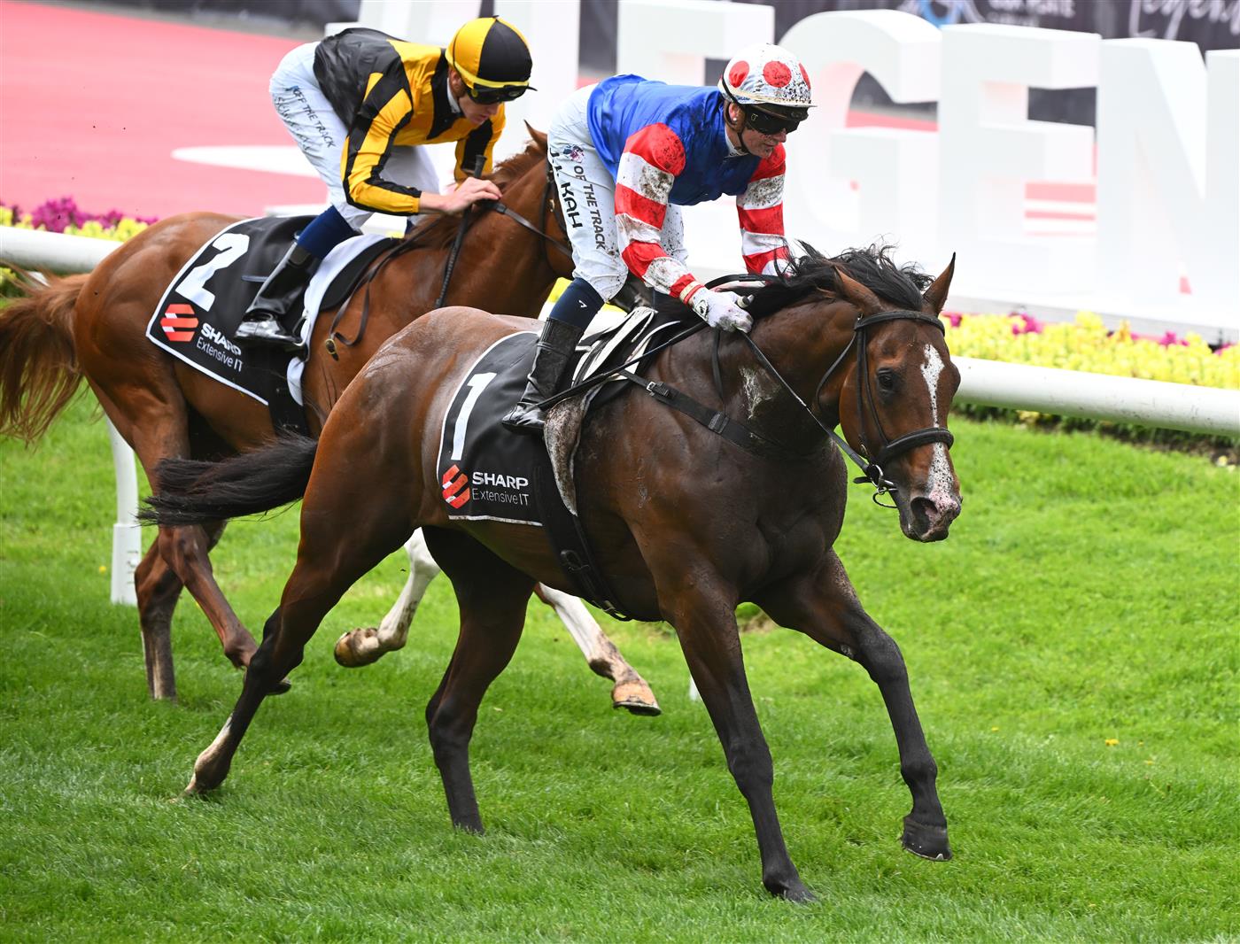 MELBOURNE, AUSTRALIA - OCTOBER 22: Jamie Kah riding Sejardan winning Race 3, the Sharp Extensive It Red Anchor Stakes, during Cox Plate Day at Moonee Valley Racecourse on October 22, 2022 in Melbourne, Australia. (Photo by Vince Caligiuri/Getty Images)