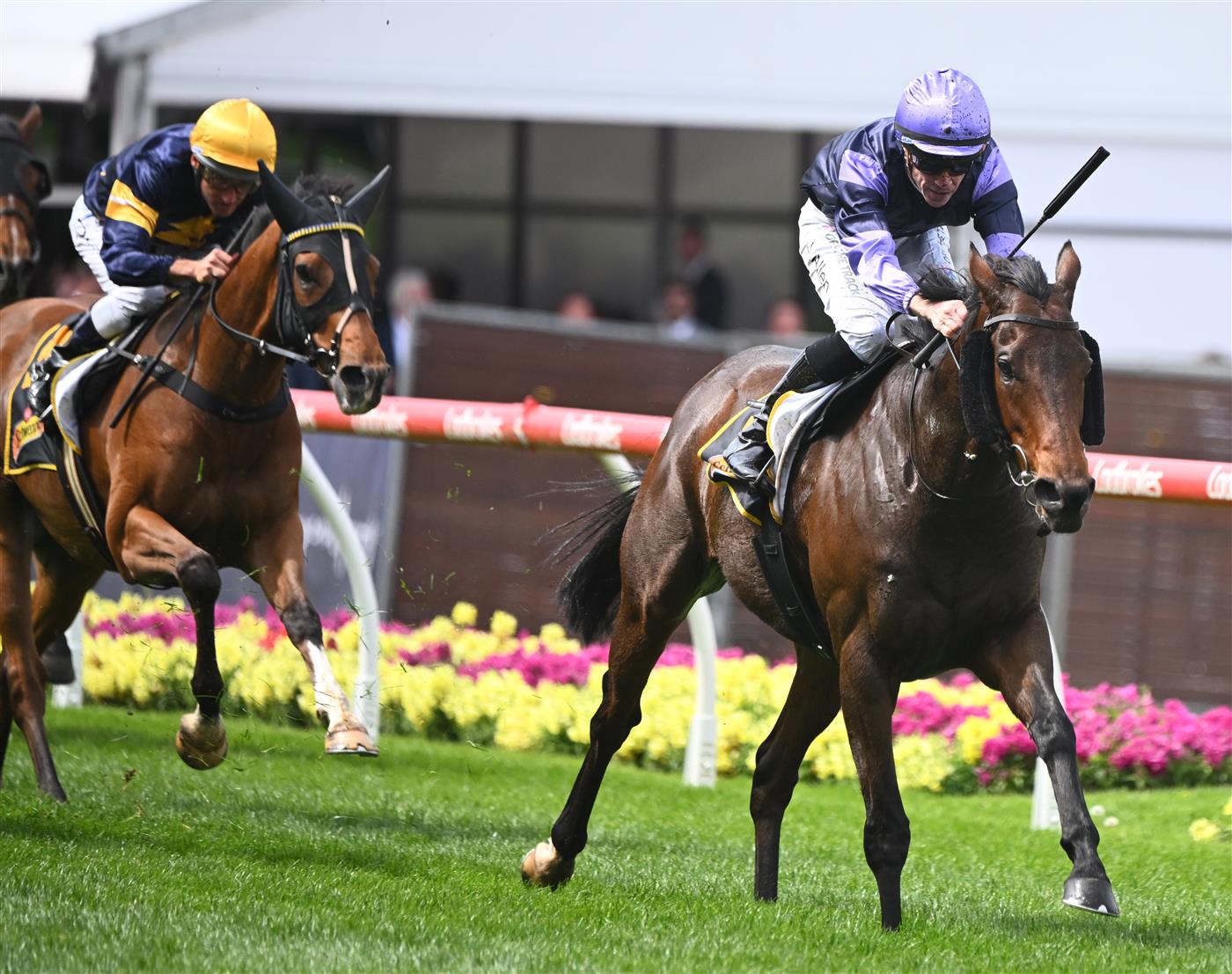 MELBOURNE, AUSTRALIA - OCTOBER 22: John Allen riding My Oberon winning Race 6, the Schweppes Crystal Mile, during Cox Plate Day at Moonee Valley Racecourse on October 22, 2022 in Melbourne, Australia. (Photo by Vince Caligiuri/Getty Images)