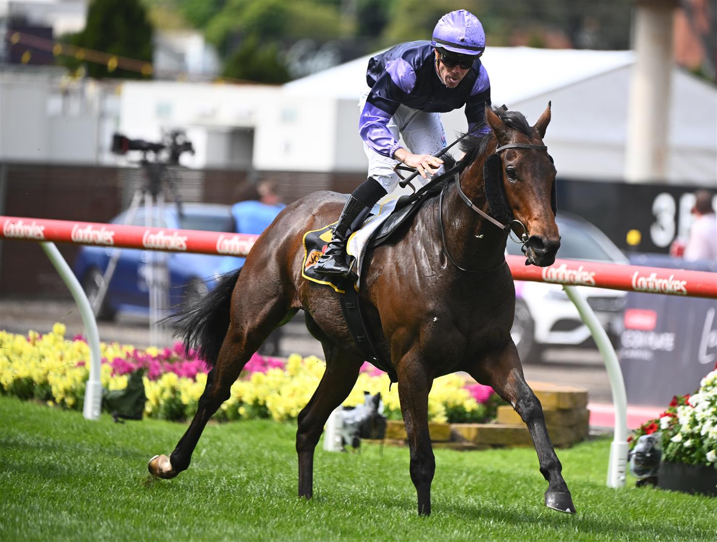 MELBOURNE, AUSTRALIA - OCTOBER 22: John Allen riding My Oberon winning Race 6, the Schweppes Crystal Mile, during Cox Plate Day at Moonee Valley Racecourse on October 22, 2022 in Melbourne, Australia. (Photo by Vince Caligiuri/Getty Images)