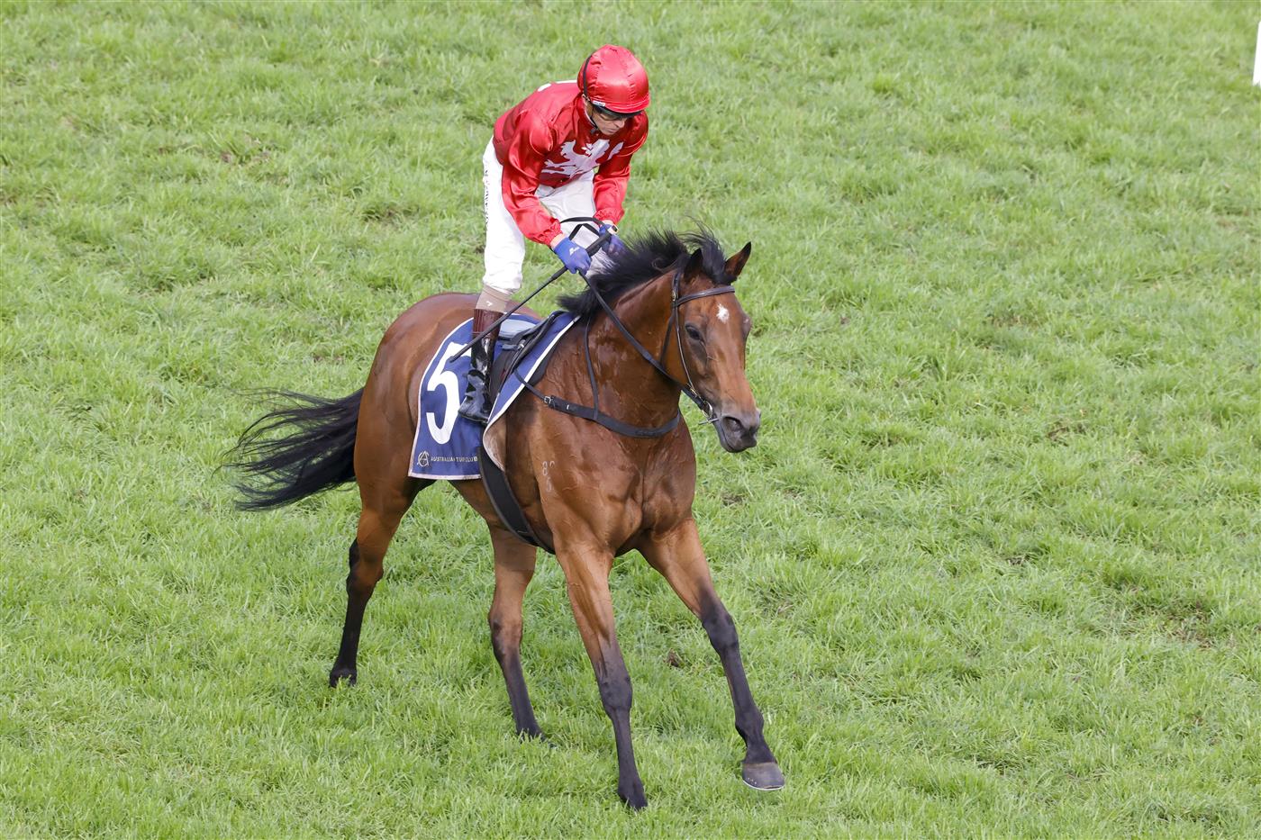 SYDNEY, AUSTRALIA - OCTOBER 22: Kerrin McEvoy on Promise Of Success returns to scale after winning race 9 The Invitation during Spring Champions Stakes Day at Royal Randwick Racecourse on October 22, 2022 in Sydney, Australia. (Photo by Jenny Evans/Getty Images)