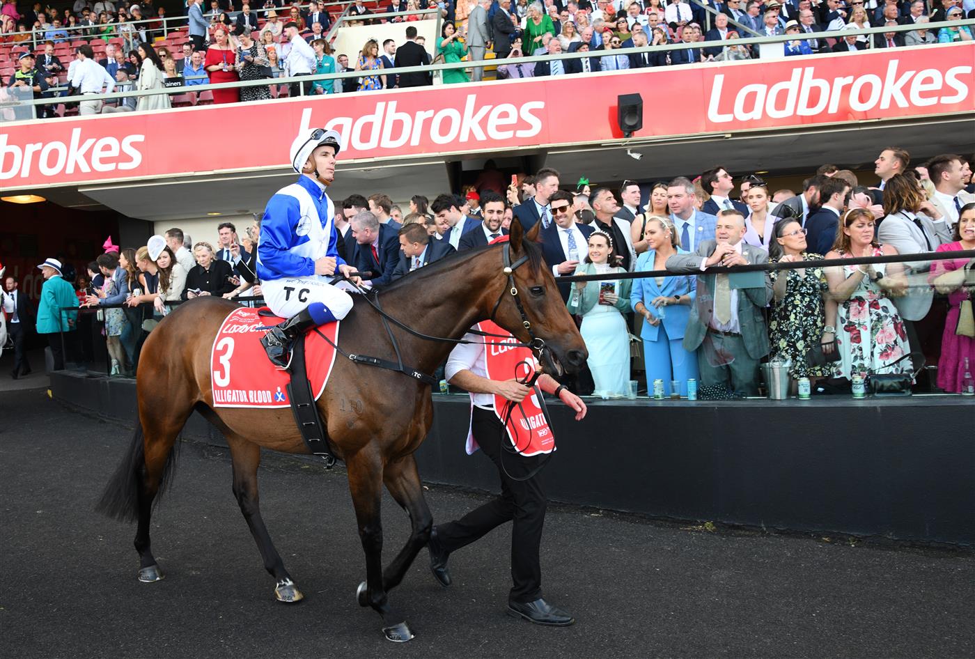 MELBOURNE, AUSTRALIA - OCTOBER 22: Tim Clark riding Alligator Blood parades before race Race 9, the Ladbrokes Cox Plate,  during Cox Plate Day at Moonee Valley Racecourse on October 22, 2022 in Melbourne, Australia. (Photo by Vince Caligiuri/Getty Images)