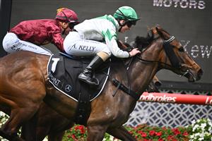 MELBOURNE, AUSTRALIA - OCTOBER 22: Alana Kelly riding Zoe