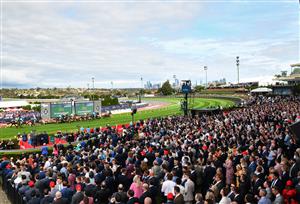 MELBOURNE, AUSTRALIA - OCTOBER 22: General view of crowds during Race 7, the Drummond Golf Vase, during Cox Plate Day at Moonee Valley Racecourse on October 22, 2022 in Melbourne, Australia. (Photo by Vince Caligiuri/Getty Images)