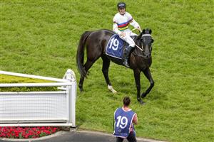 SYDNEY, AUSTRALIA - OCTOBER 22: Joshua Parr on Liberty Sun returns to scale after winning race 3 the Midway Handicap during Spring Champions Stakes Day at Royal Randwick Racecourse on October 22, 2022 in Sydney, Australia. (Photo by Jenny Evans/Getty Images)
