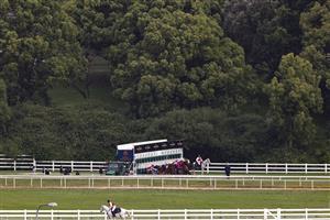 SYDNEY, AUSTRALIA - OCTOBER 22: Horses and jockeys jump from the barriers for race 9 The Invitation during Spring Champions Stakes Day at Royal Randwick Racecourse on October 22, 2022 in Sydney, Australia. (Photo by Jenny Evans/Getty Images)
