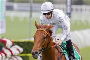 SYDNEY, AUSTRALIA - OCTOBER 22: Jason Collett on Kote wins race 6 the Grainshaker Brian Crowley Stakes during Spring Champions Stakes Day at Royal Randwick Racecourse on October 22, 2022 in Sydney, Australia. (Photo by Jenny Evans/Getty Images)