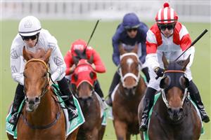 SYDNEY, AUSTRALIA - OCTOBER 22: Jason Collett (all white) on Kote wins race 6 the Grainshaker Brian Crowley Stakes during Spring Champions Stakes Day at Royal Randwick Racecourse on October 22, 2022 in Sydney, Australia. (Photo by Jenny Evans/Getty Images)
