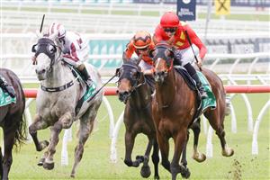 SYDNEY, AUSTRALIA - OCTOBER 22: Dylan Gibbons (R) on Socrates wins race 2 the Tab Highway Handicap during Spring Champions Stakes Day at Royal Randwick Racecourse on October 22, 2022 in Sydney, Australia. (Photo by Jenny Evans/Getty Images)