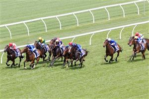 SYDNEY, AUSTRALIA - OCTOBER 22: Blake Shinn (all blue) on Barber wins race 1 the Drinkwise Kirkham Plate during Spring Champions Stakes Day at Royal Randwick Racecourse on October 22, 2022 in Sydney, Australia. (Photo by Jenny Evans/Getty Images)
