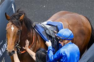 SYDNEY, AUSTRALIA - OCTOBER 22: Blake Shinn on Barber returns to scale after winning race 1 the Drinkwise Kirkham Plate during Spring Champions Stakes Day at Royal Randwick Racecourse on October 22, 2022 in Sydney, Australia. (Photo by Jenny Evans/Getty Images)