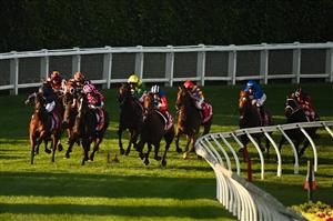 MELBOURNE, AUSTRALIA - OCTOBER 22: Craig Williams riding Bella Nipotina turns into the straight before winning race 11, the Ladbrokes Manikato Stakes during Cox Plate Day at Moonee Valley Racecourse on October 22, 2022 in Melbourne, Australia. (Photo by Vince Caligiuri/Getty Images)