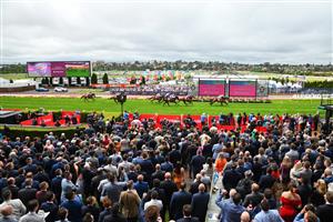 MELBOURNE, AUSTRALIA - OCTOBER 22: Damian Lane riding Scissor Step winning Race 2, the Strathmore Community Bendigo Bank, during Cox Plate Day at Moonee Valley Racecourse on October 22, 2022 in Melbourne, Australia. (Photo by Vince Caligiuri/Getty Images)
