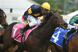 MELBOURNE, AUSTRALIA - OCTOBER 22: Damien Oliver riding Arkansaw Kid winning Race 1, the Inglis Banner, during Cox Plate Day at Moonee Valley Racecourse on October 22, 2022 in Melbourne, Australia. (Photo by Vince Caligiuri/Getty Images)