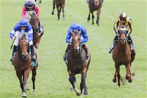 SYDNEY, AUSTRALIA - OCTOBER 22: Hugh Bowman (all blue) on Golden Mile wins race 7 the Tab Callander-presnell during Spring Champions Stakes Day at Royal Randwick Racecourse on October 22, 2022 in Sydney, Australia. (Photo by Jenny Evans/Getty Images)