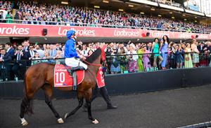 MELBOURNE, AUSTRALIA - OCTOBER 22: James McDonald riding Anamoe parades before winning Race 9, the Ladbrokes Cox Plate, during Cox Plate Day at Moonee Valley Racecourse on October 22, 2022 in Melbourne, Australia. (Photo by Vince Caligiuri/Getty Images)