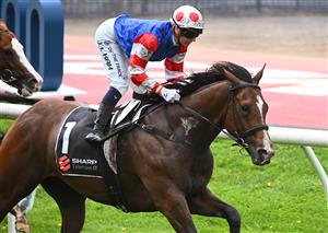 MELBOURNE, AUSTRALIA - OCTOBER 22: Jamie Kah riding Sejardan winning Race 3, the Sharp Extensive It Red Anchor Stakes, during Cox Plate Day at Moonee Valley Racecourse on October 22, 2022 in Melbourne, Australia. (Photo by Vince Caligiuri/Getty Images)