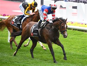 MELBOURNE, AUSTRALIA - OCTOBER 22: Jamie Kah riding Sejardan winning Race 3, the Sharp Extensive It Red Anchor Stakes, during Cox Plate Day at Moonee Valley Racecourse on October 22, 2022 in Melbourne, Australia. (Photo by Vince Caligiuri/Getty Images)