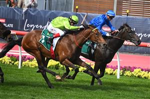MELBOURNE, AUSTRALIA - OCTOBER 22: Craig Williams riding Berkeley Square defeats Jamie Kah riding Pericles winning Race 7, the Drummond Golf Vase, during Cox Plate Day at Moonee Valley Racecourse on October 22, 2022 in Melbourne, Australia. (Photo by Vince Caligiuri/Getty Images)