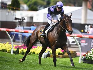 MELBOURNE, AUSTRALIA - OCTOBER 22: John Allen riding My Oberon winning Race 6, the Schweppes Crystal Mile, during Cox Plate Day at Moonee Valley Racecourse on October 22, 2022 in Melbourne, Australia. (Photo by Vince Caligiuri/Getty Images)