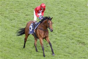 SYDNEY, AUSTRALIA - OCTOBER 22: Kerrin McEvoy on Promise Of Success returns to scale after winning race 9 The Invitation during Spring Champions Stakes Day at Royal Randwick Racecourse on October 22, 2022 in Sydney, Australia. (Photo by Jenny Evans/Getty Images)