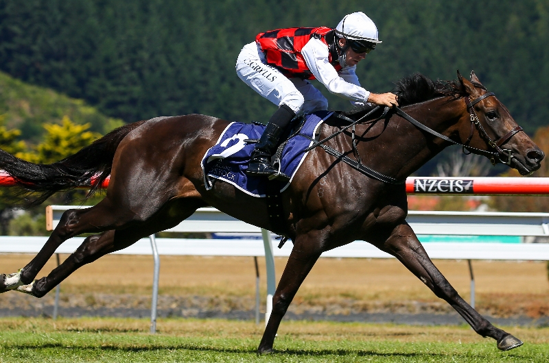 Empire Rose Stakes Tips