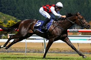 2022 Empire Rose Stakes Tips - Do the Kiwi girls have dominance over the Australians?