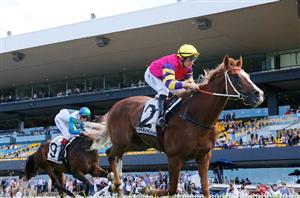 2022 Golden Eagle Tips - Outsider could run huge at Rosehill