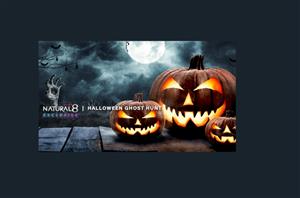 Natural8 Halloween event