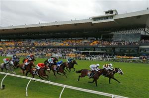 Rosehill Tips on October 29 - Race-By-Race preview for Golden Eagle Day