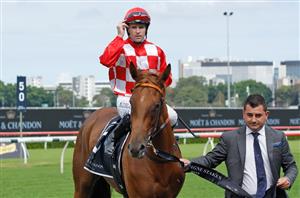 VRC Oaks Barriers