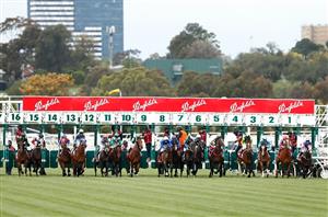 Flemington Racing Tips October 29 - Victoria Derby, Coolmore Stud Stakes & Empire Rose Stakes