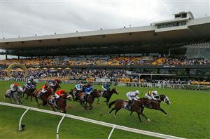 The Golden Eagle Tips & Runner-by-Runner Preview