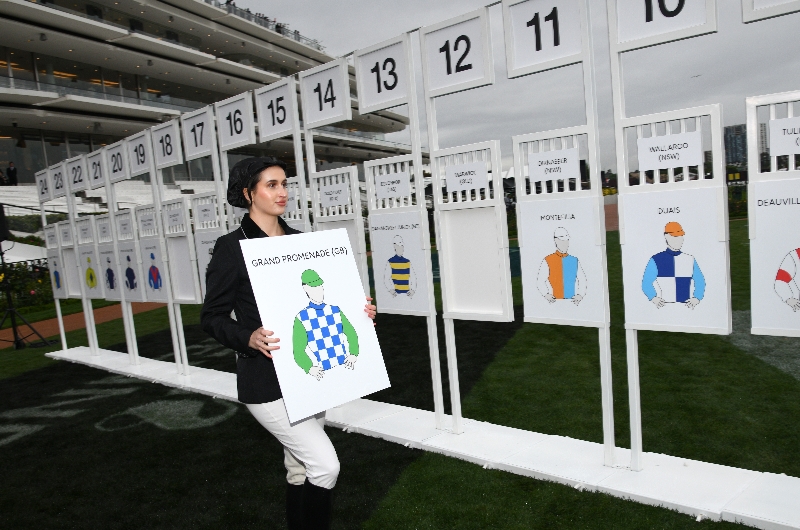 melbourne cup draw