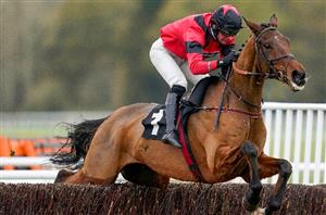 Tracker Alert - Four tracker horses running at Ascot, Wetherby and Ayr