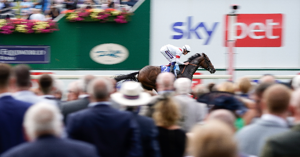 2022 Melbourne Cup Tips & Preview Best Bets for the Race The Stops A Nation