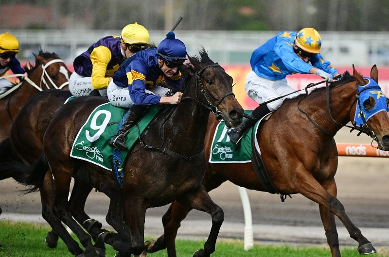 Melbourne Cup Day Tips - Race-by-Race Guide to Flemington