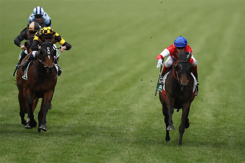 MELBOURNE, AUSTRALIA - OCTOBER 29:  Craig WIlliams rides #1 Icebath (R) to win race eight the TAB Empire Rose Stakes during 2022 Penfolds Victoria Derby Day at Flemington Racecourse on October 29, 2022 in Melbourne, Australia. (Photo by Daniel Pockett/Getty Images)
