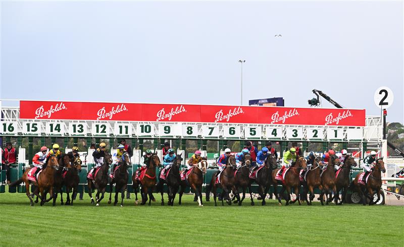 MELBOURNE, AUSTRALIA - OCTOBER 29: Michael Dee riding Manzoice jumps out of barrier eight at the start before winning Race 7, the Penfolds Victoria Derby, during 2022 Penfolds Victoria Derby Day at Flemington Racecourse on October 29, 2022 in Melbourne, Australia. (Photo by Vince Caligiuri/Getty Images)