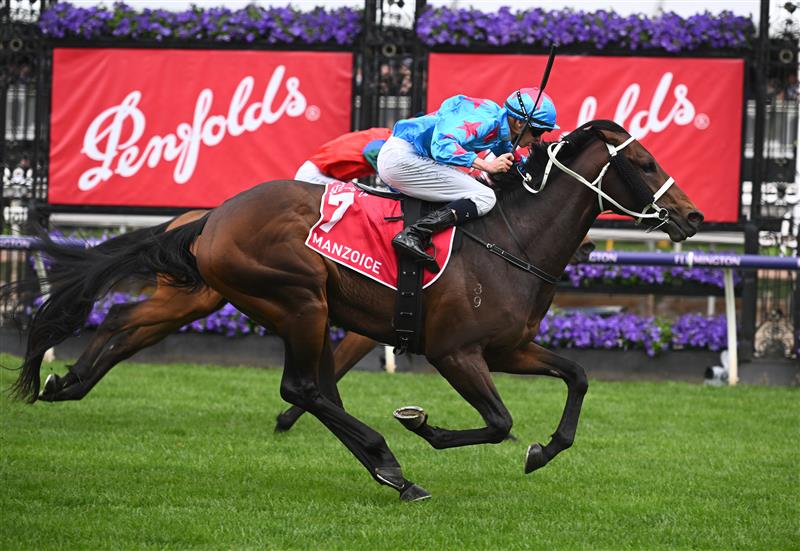 MELBOURNE, AUSTRALIA - OCTOBER 29: Michael Dee riding Manzoice winning Race 7, the Penfolds Victoria Derby, during 2022 Penfolds Victoria Derby Day at Flemington Racecourse on October 29, 2022 in Melbourne, Australia. (Photo by Vince Caligiuri/Getty Images)